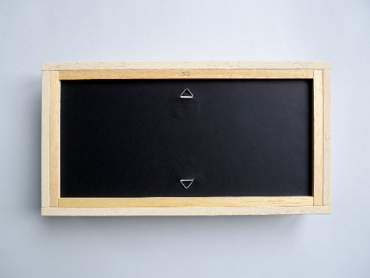 FISHBOX large - pesce imbottito in cornice di legno rosso carminio