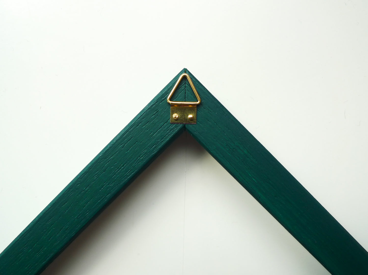 MAISON DU (PETIT) POISSON - pesce imbottito sospeso in cornice a forma di casa blu klein