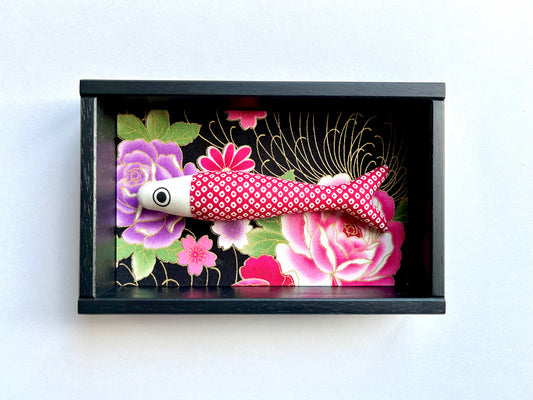 FISHBOX - pesce imbottito in cornice di legno nera