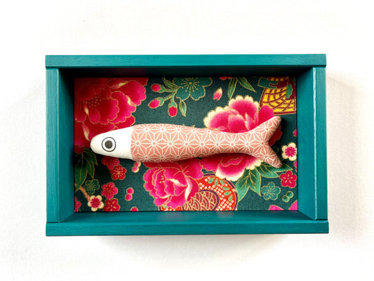 FISHBOX - pesce imbottito in cornice di legno ottanio