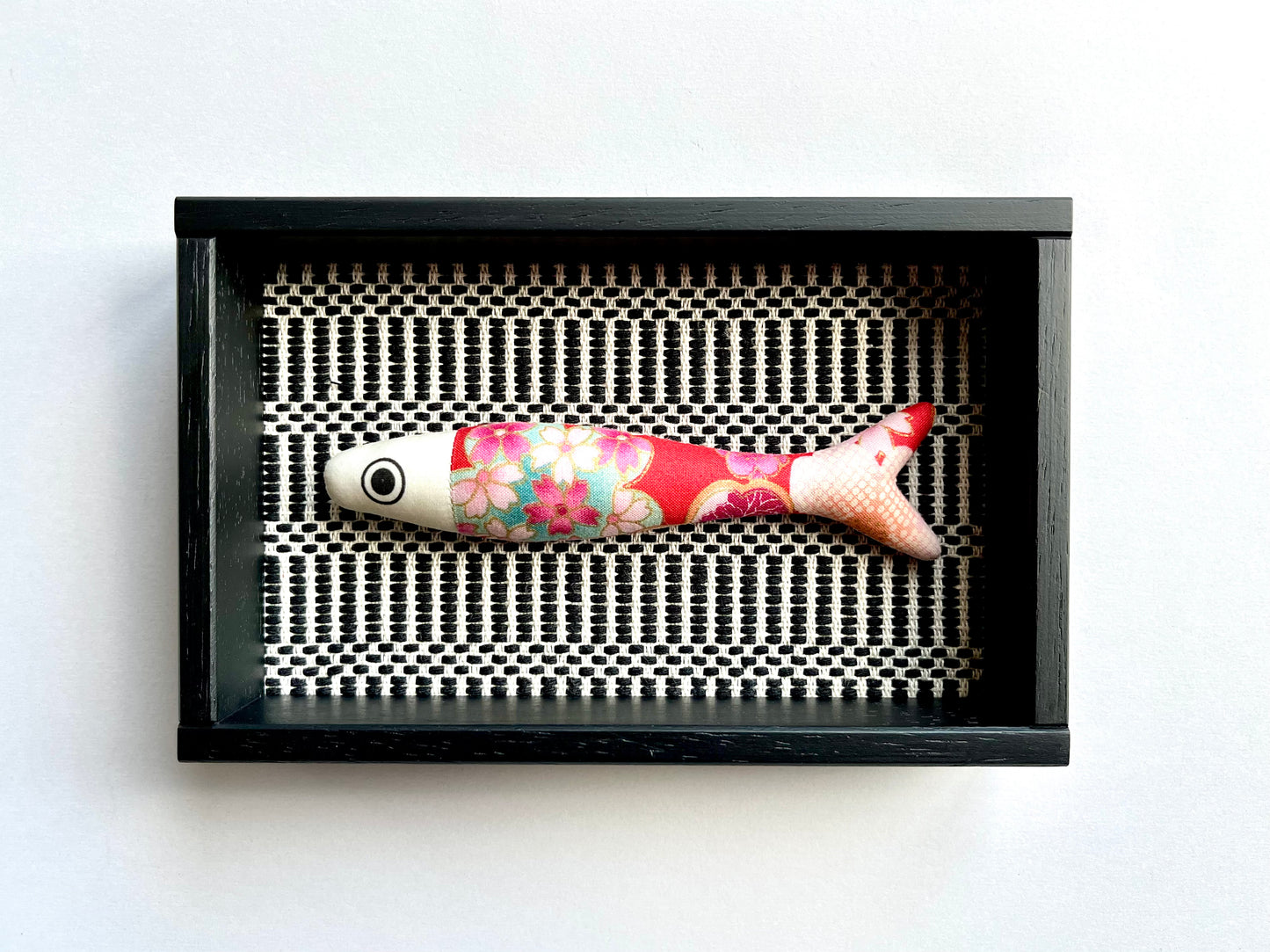 FISHBOX - pesce imbottito in cornice di legno nero