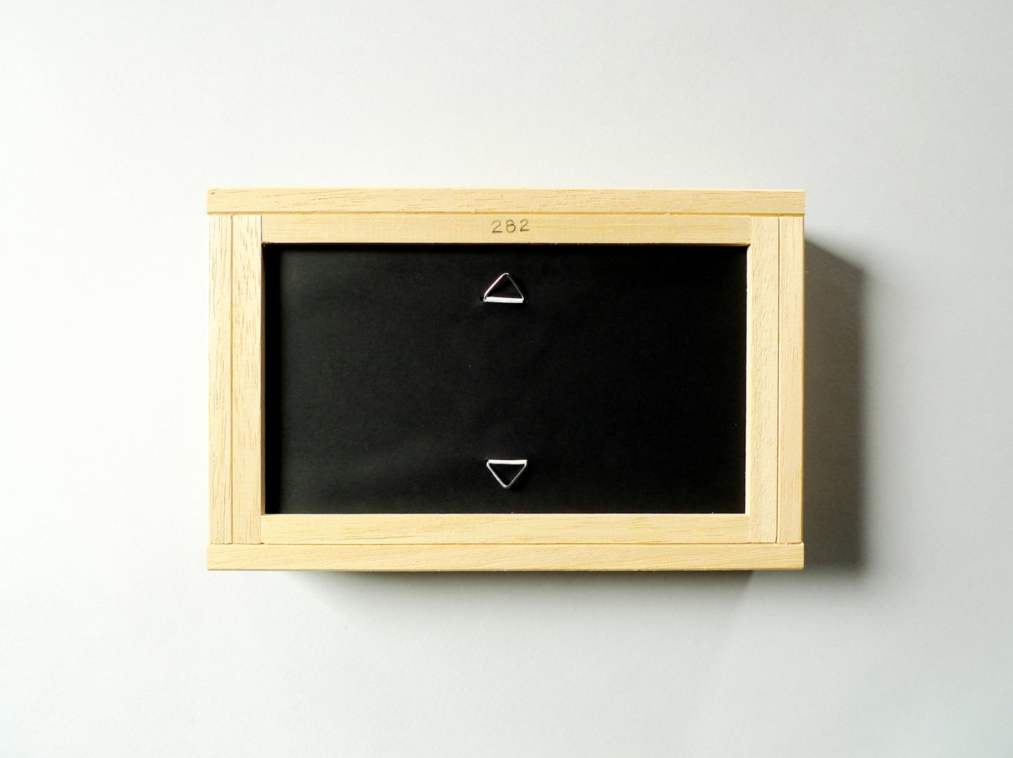 FISHBOX - pesce imbottito in cornice di legno blu Klein